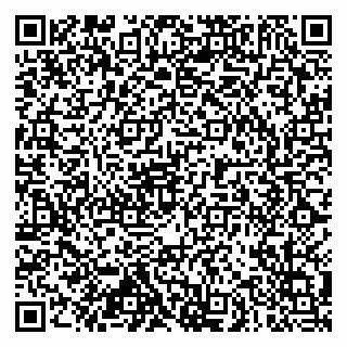 vCard 79102800295