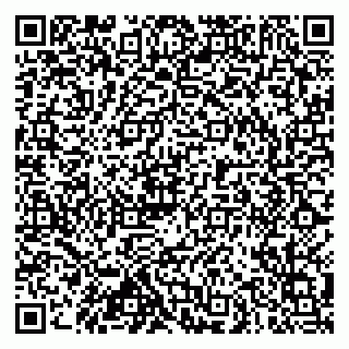 vCard 79102800299