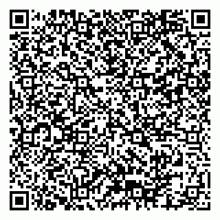 vCard 79102800303