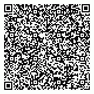 vCard 79102800311