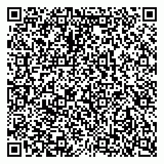 vCard 79102800312