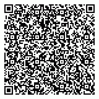 vCard 79102800313