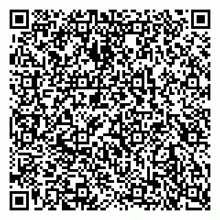 vCard 79102800317
