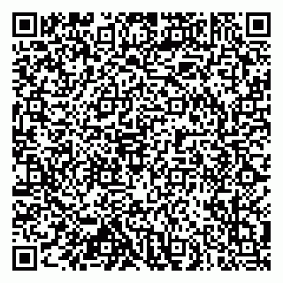vCard 79102800319