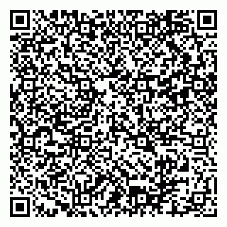 vCard 79102800321