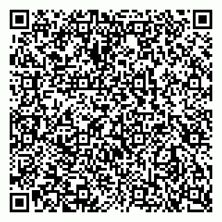 vCard 79102800322