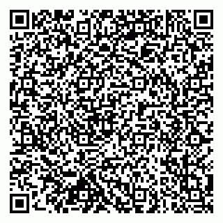 vCard 79102800329