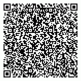 vCard 79102800331