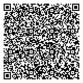 vCard 79102800333
