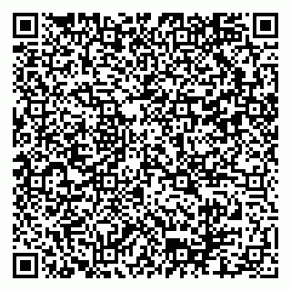 vCard 79102800334