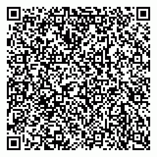 vCard 79102800369