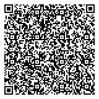 vCard 79102800370