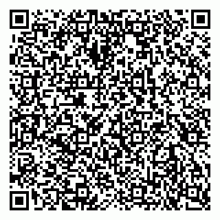 vCard 79102800371