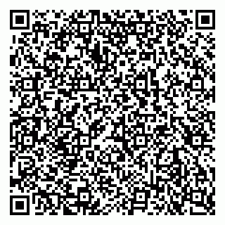 vCard 79102800373