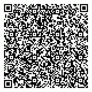 vCard 79102800374