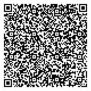 vCard 79102800389