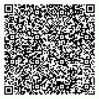 vCard 79102800397