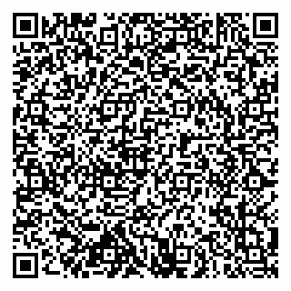 vCard 79102800399