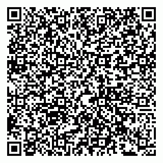 vCard 79102900414