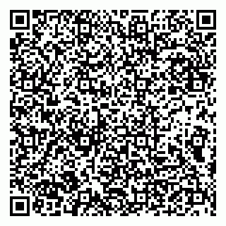 vCard 79102900498