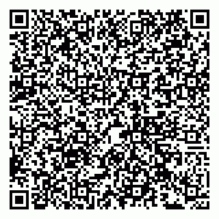 vCard 79102900529