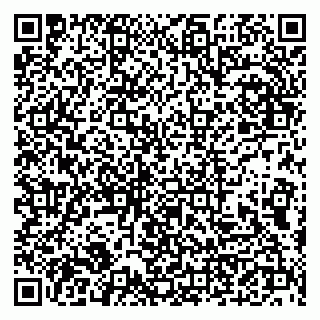 vCard 79102900537