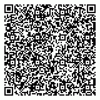vCard 79103000539