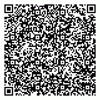vCard 79103201229