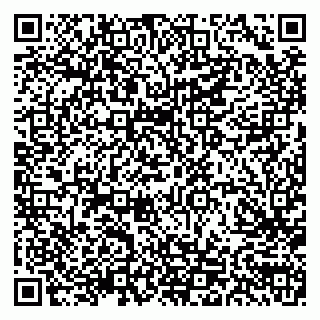 vCard 79103201239