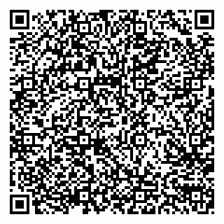 vCard 79103201271