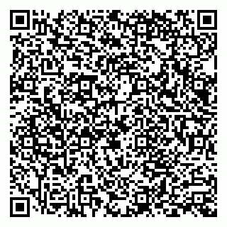vCard 79103201731