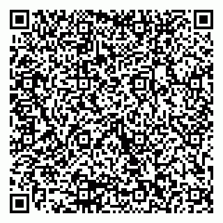 vCard 79103202032