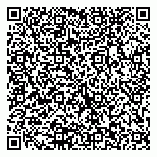 vCard 79103202074