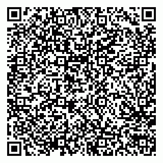 vCard 79103202087