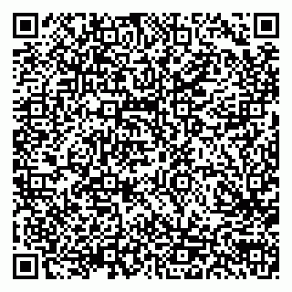 vCard 79103202089