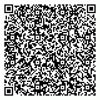 vCard 79103202139