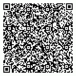vCard 79103202995