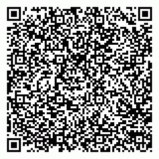 vCard 79103203095
