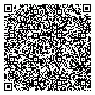 vCard 79103203136