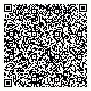 vCard 79103203271