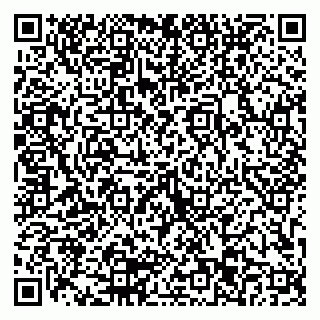 vCard 79103203301