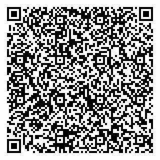 vCard 79103203333