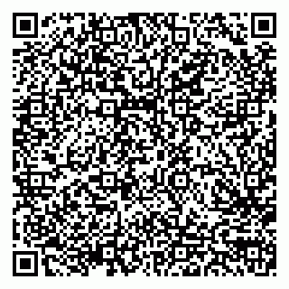 vCard 79103203371
