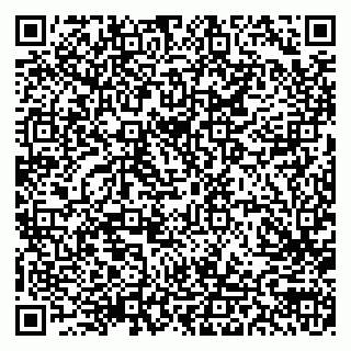 vCard 79103203375