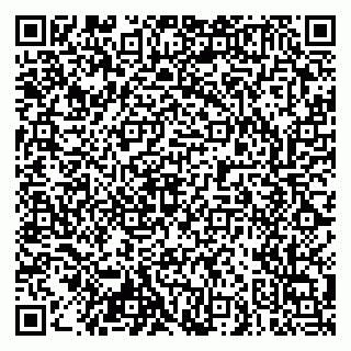 vCard 79103400033