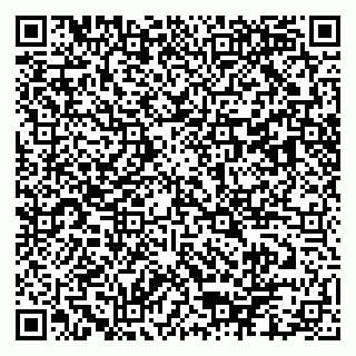 vCard 79103400051