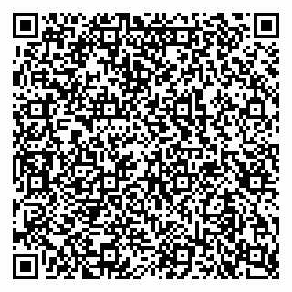 vCard 79103400063
