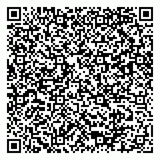 vCard 79103400118