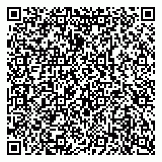 vCard 79103400119