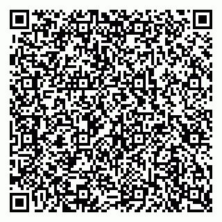 vCard 79103400125